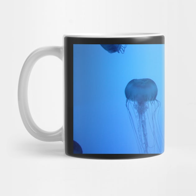 Blue Silhouetted Jellyfish Photo Print And Others by nhitori